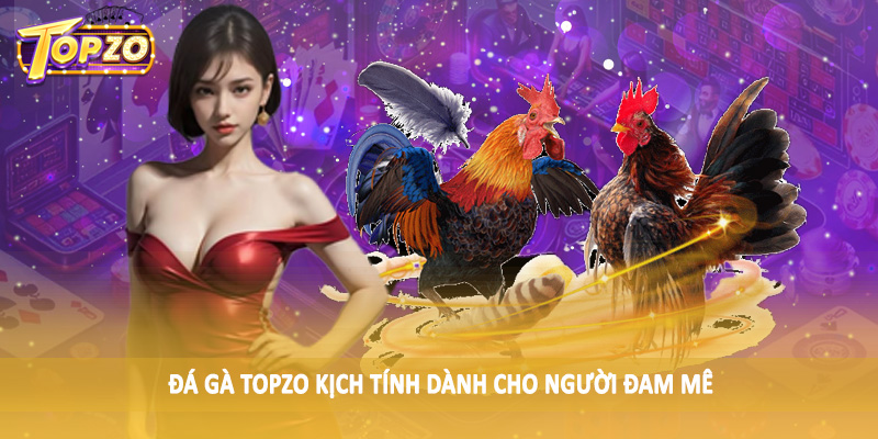 TOPZO 52 Đá gà TOPZO kịch tính dành cho người đam mê